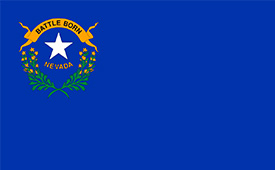 Concrete Barriers Nevada Flag