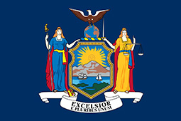 Concrete Block New York Flag