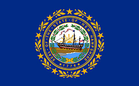 Concrete Blocks New Hampshire Flag