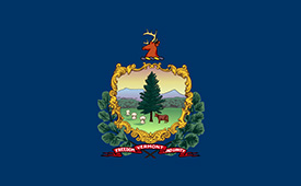 Concrete Blocks Vermont Flag