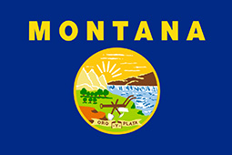 Concrete Jersey Barriers Montana Flag